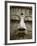 Great Buddha Statue, Kamakura, Daibutsu, Kanto, Japan-Steve Vidler-Framed Photographic Print