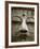 Great Buddha Statue, Kamakura, Daibutsu, Kanto, Japan-Steve Vidler-Framed Photographic Print