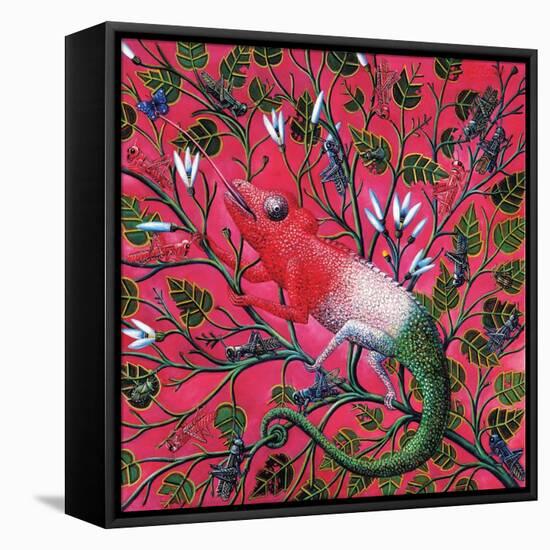 Great Chameleon, 1996-Tamas Galambos-Framed Premier Image Canvas