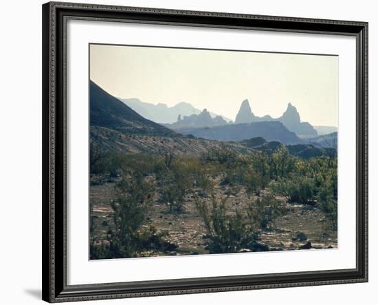 Great Chihuahua Desert with Chisos Mountains and Mt Amory at Big Bend National Park-Ralph Crane-Framed Photographic Print