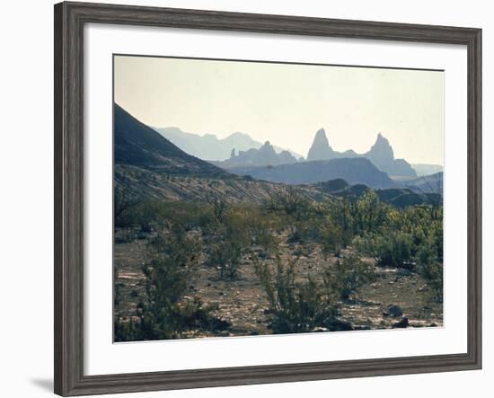 Great Chihuahua Desert with Chisos Mountains and Mt Amory at Big Bend National Park-Ralph Crane-Framed Photographic Print