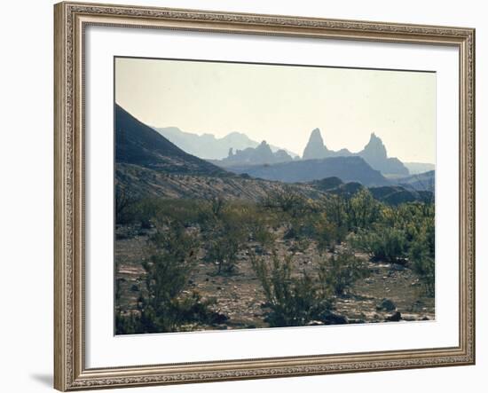 Great Chihuahua Desert with Chisos Mountains and Mt Amory at Big Bend National Park-Ralph Crane-Framed Photographic Print