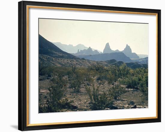 Great Chihuahua Desert with Chisos Mountains and Mt Amory at Big Bend National Park-Ralph Crane-Framed Photographic Print