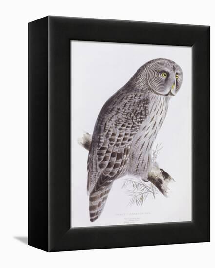 Great Cinereous Owl, from 'The Birds of Great Britain', Published London, 1862-73-John Gould-Framed Premier Image Canvas