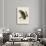 Great Cinereous Owl-John James Audubon-Giclee Print displayed on a wall