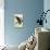 Great Cinereous Owl-John James Audubon-Giclee Print displayed on a wall