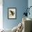Great Cinereous Owl-John James Audubon-Framed Giclee Print displayed on a wall