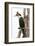 Great Cormorant (Phalocrocorax Carbo), Lake Naivasha, Kenya, East Africa, Africa-Sergio Pitamitz-Framed Photographic Print