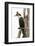 Great Cormorant (Phalocrocorax Carbo), Lake Naivasha, Kenya, East Africa, Africa-Sergio Pitamitz-Framed Photographic Print