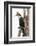 Great Cormorant (Phalocrocorax Carbo), Lake Naivasha, Kenya, East Africa, Africa-Sergio Pitamitz-Framed Photographic Print