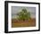 Great Cottonwood Tree in Kansas Flint Hills-Michael Scheufler-Framed Photographic Print
