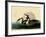 Great Crested Grebes-John James Audubon-Framed Giclee Print