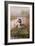 Great-Crested Grebes-Carl Donner-Framed Giclee Print