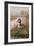 Great-Crested Grebes-Carl Donner-Framed Giclee Print