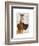 Great Dane and Chihuahua-Fab Funky-Framed Art Print