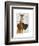 Great Dane and Chihuahua-Fab Funky-Framed Art Print