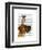 Great Dane and Chihuahua-Fab Funky-Framed Art Print