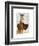 Great Dane and Chihuahua-Fab Funky-Framed Art Print