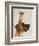 Great Dane and Chihuahua-Fab Funky-Framed Art Print