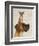 Great Dane and Chihuahua-Fab Funky-Framed Art Print