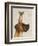 Great Dane and Chihuahua-Fab Funky-Framed Art Print