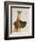 Great Dane and Chihuahua-Fab Funky-Framed Art Print