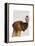 Great Dane and Cupcake-Fab Funky-Framed Stretched Canvas