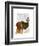 Great Dane and Cupcake-Fab Funky-Framed Art Print