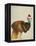 Great Dane and Cupcake-Fab Funky-Framed Stretched Canvas