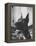 Great Dane Belonging to Governor William Stratton-Robert W^ Kelley-Framed Premier Image Canvas