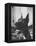 Great Dane Belonging to Governor William Stratton-Robert W^ Kelley-Framed Premier Image Canvas