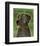 Great Dane (Blue, no crop)-John W^ Golden-Framed Art Print