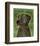 Great Dane (Blue, no crop)-John W^ Golden-Framed Art Print