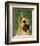 Great Dane (Fawn)-John W^ Golden-Framed Art Print