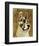 Great Dane (Harlequin)-John W^ Golden-Framed Art Print