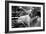 Great Dane in Central Park NYC B/W-null-Framed Photo