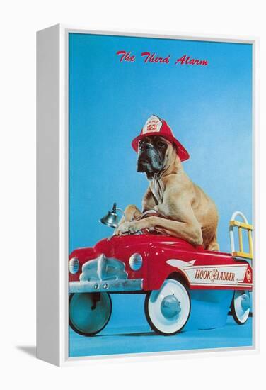 Great Dane in Toy Fire Wagon, Third Alarm-null-Framed Stretched Canvas