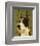 Great Dane (Mantle)-John W^ Golden-Framed Art Print