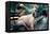 Great Dane on Central Park Bench NYC-null-Framed Stretched Canvas