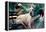 Great Dane on Central Park Bench NYC-null-Framed Stretched Canvas