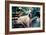 Great Dane on Central Park Bench NYC-null-Framed Photo