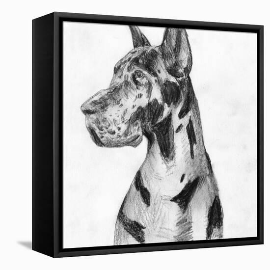 Great Dane Portrait I-Melissa Wang-Framed Stretched Canvas