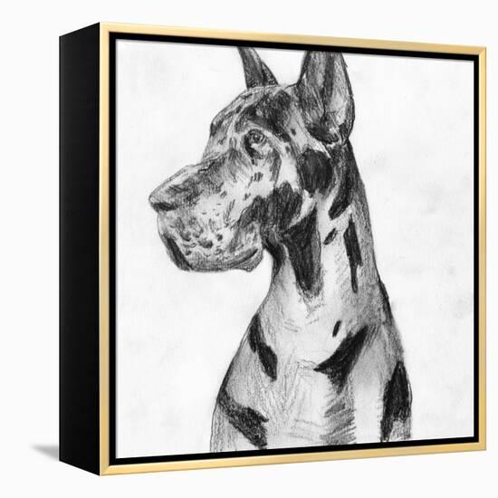 Great Dane Portrait I-Melissa Wang-Framed Stretched Canvas