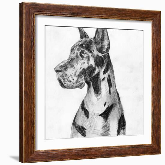 Great Dane Portrait I-Melissa Wang-Framed Art Print