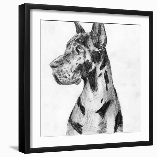 Great Dane Portrait I-Melissa Wang-Framed Art Print