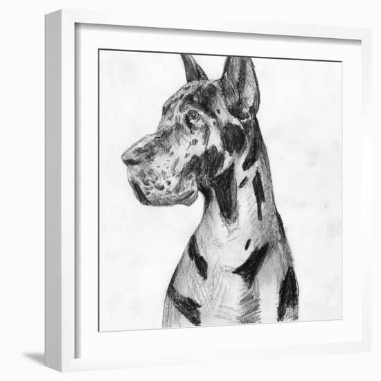 Great Dane Portrait I-Melissa Wang-Framed Art Print