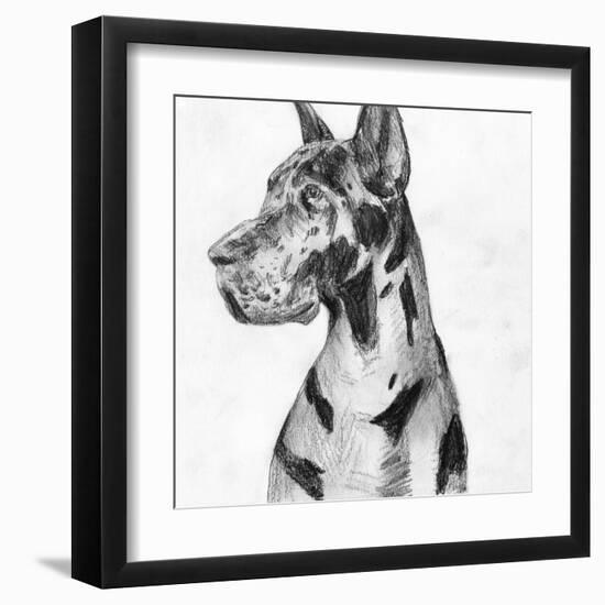 Great Dane Portrait I-Melissa Wang-Framed Art Print