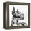 Great Dane Portrait II-Melissa Wang-Framed Stretched Canvas