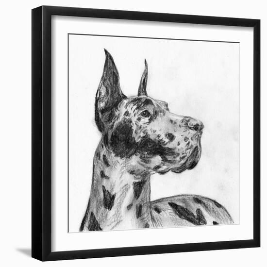 Great Dane Portrait II-Melissa Wang-Framed Art Print