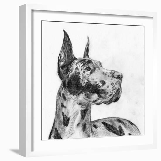 Great Dane Portrait II-Melissa Wang-Framed Art Print